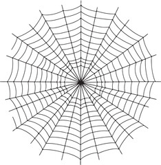 Obraz premium spider web isolated on white vector