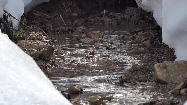 The melting of snow in spring.