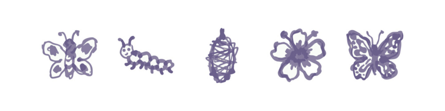 Butterfly life cycle icons: butterfly, caterpillar, chrysalis, flower