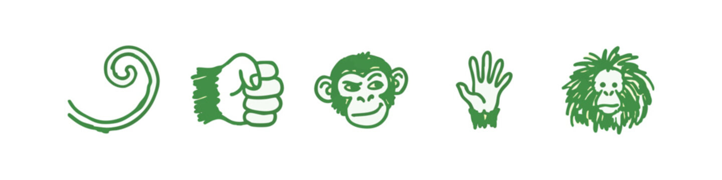 Monkey and Primate Hand Drawn Icon Set with Orangutan and Monkey Face