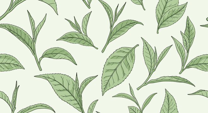 Seamless pattern featuring hand drawn green tea leaves on a light background perfect for organic tea packaging or wellness designs.