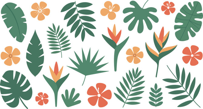Minimal tropical leaves and flowers illustration with monstera palm and hibiscus flat vector design on white background