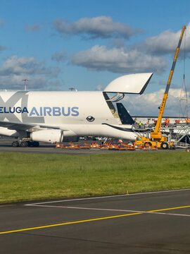 Airbus Beluga XL 4 cargo aircraft with open nose door for loading at NTE Nantes Atlantique Airport