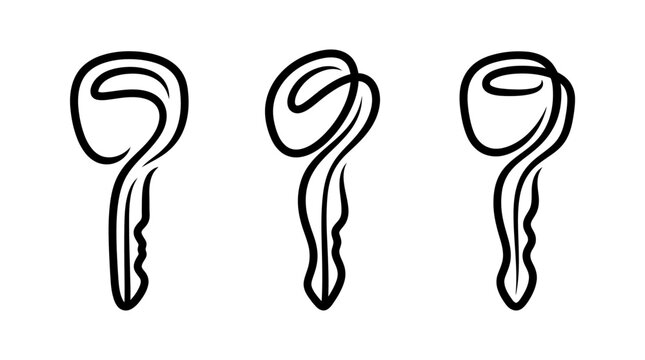 Three minimalist line art keys on a white background.