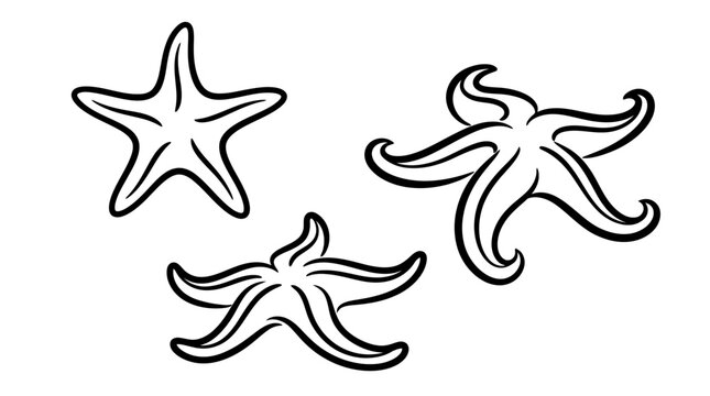 Three Detailed Black and White Starfish Illustrations on White Background.