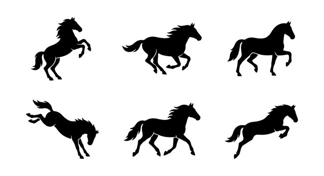 Black horse silhouette collection, set of 6 wild stallion vector icons, galloping and rearing mustang silhouettes for equestrian logo design