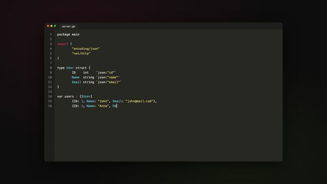 Developer Writing Code Animation, Programming Workflow, Software Coding in Dark Theme Editor
