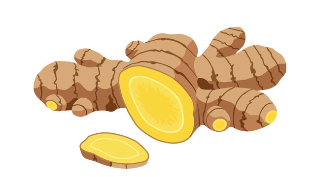 Natural ginger root is depicted with a slice cut off to show the internal texture and color of this healthy culinary ingredient.