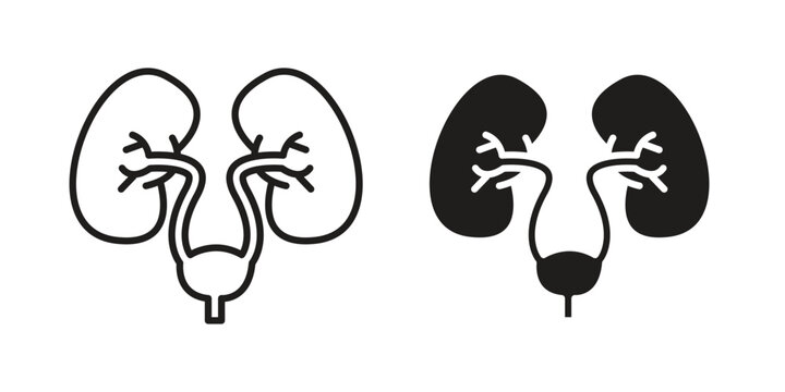 Urology icon symbol, logo illustration. Vector graphics web design.