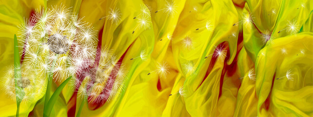 Naklejka premium light delicate dandelion fluff flies on a bright green and yellow background.Close-up, long shot.The design element