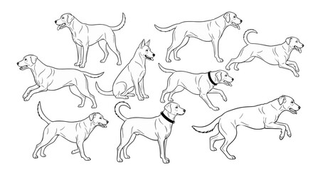 Fototapeta premium Collection of Line Art Dog Illustrations in Various Poses and Breeds