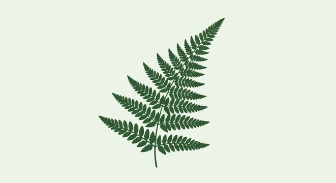 A single, dark green fern frond is centered on a pale green background