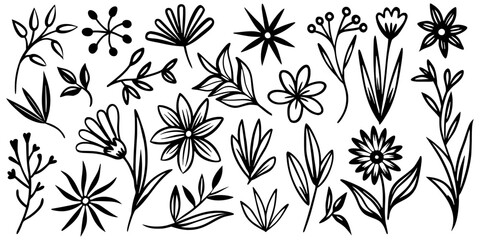 Fototapeta premium Hand drawn plant elements, flowers and leaves, isolated on white background, vector design