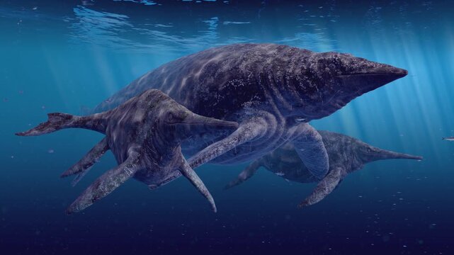 4k 3D animation depicts two colossal prehistoric marine reptiles, Shastasaurus and Shonosaurus, swimming in close proximity to each other in the deep, murky blue ocean of the Cretaceous period.