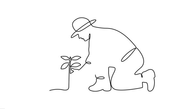 Man planting a tree continuous line animation, environmental growth concept.