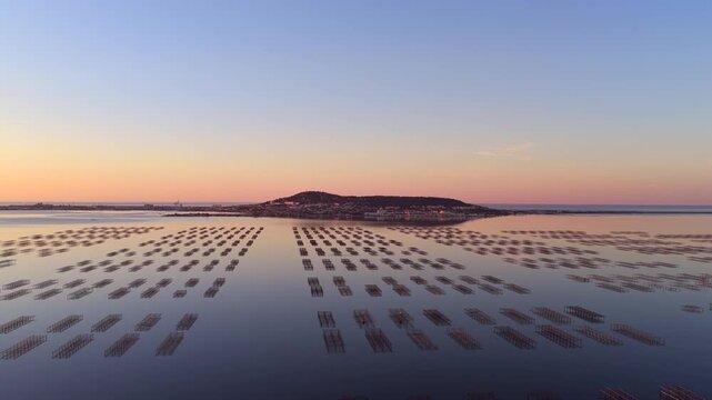 The Thau lagoon and its tables at sunrise