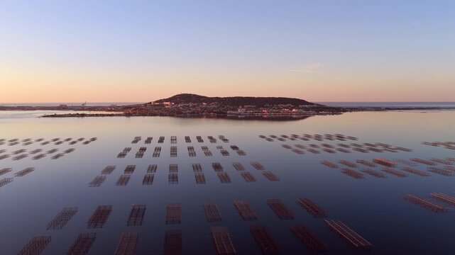 The Thau lagoon and its tables at sunrise