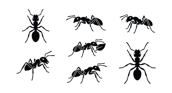Black ant silhouette collection, set of 7 insect vector icons, minimalist worker ant illustrations for pest control and nature education graphics