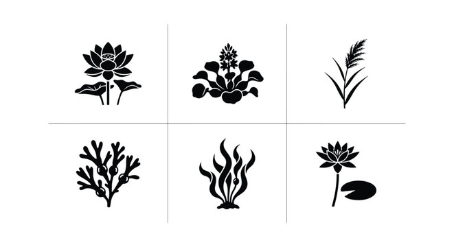 Minimalist aquatic plant icons, set of 6 black botanical silhouettes, lotus and seaweed vector illustrations for logo design and branding