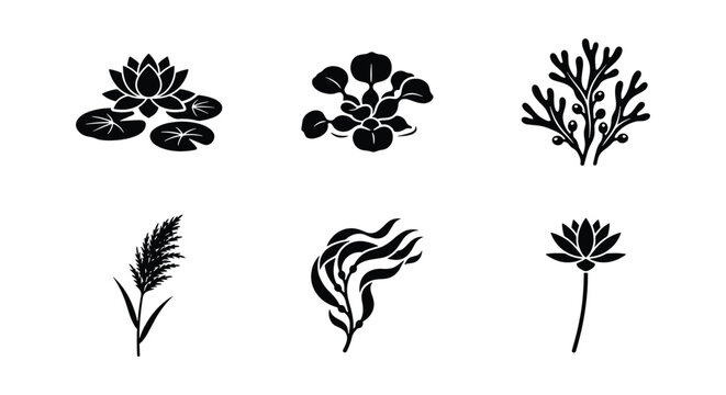 Minimalist aquatic plants icon set, black silhouette water lily and seaweed vector collection, 6 botanical pond flora elements for nature branding
