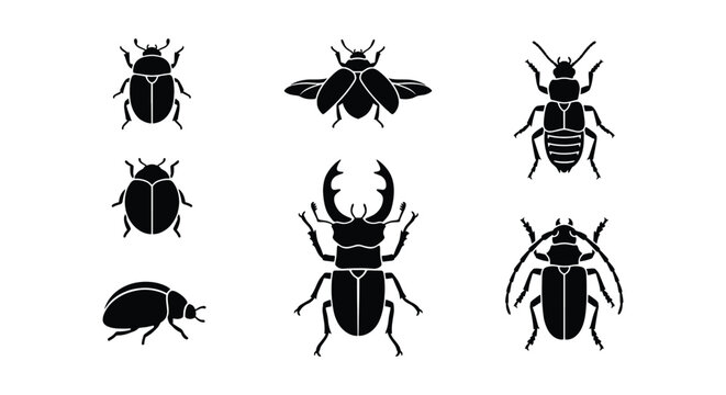 Black beetle silhouettes set, 7 insect vector icons collection, stag beetle and ladybug graphic elements, minimalist bug illustrations for nature design