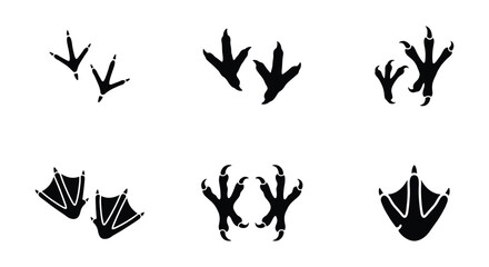 Bird footprint silhouette collection, black avian paw prints and webbed duck feet icons, 6 vector sets of wild bird tracks for nature design © Anwar