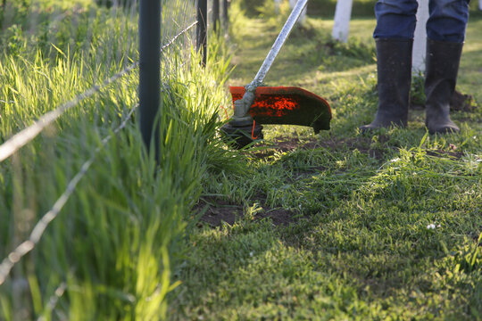 Close Up of Grass Trimmer Cutting Along Fence Edge &ndash; Garden Lawn Maintenance Concept