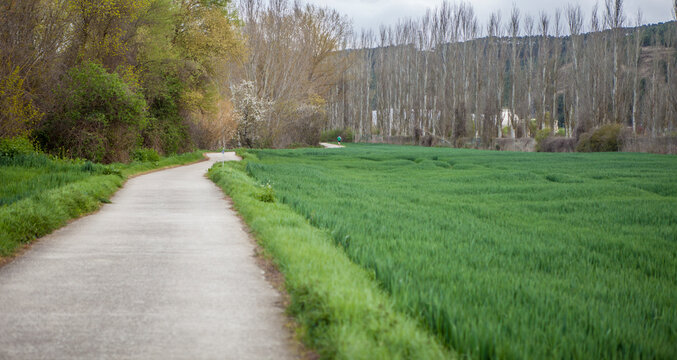Arazuri, small and charming town very close to Pamplona, Spain