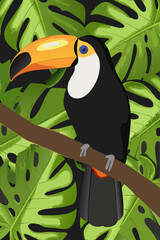Fototapeta premium Colorful toucan perched on a branch amidst lush tropical monstera leaves