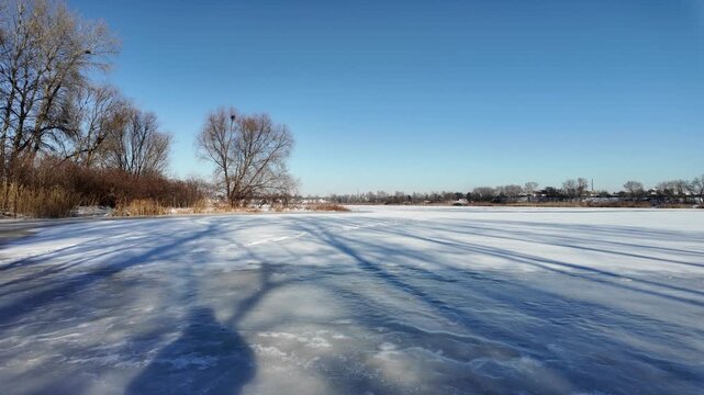 Serene winter frozen lake under bright blue sky. Snow-covered ice with footprints and tree shadows, golden dry reeds along the shore, bare trees, and distant horizon in crisp cold sunlight.