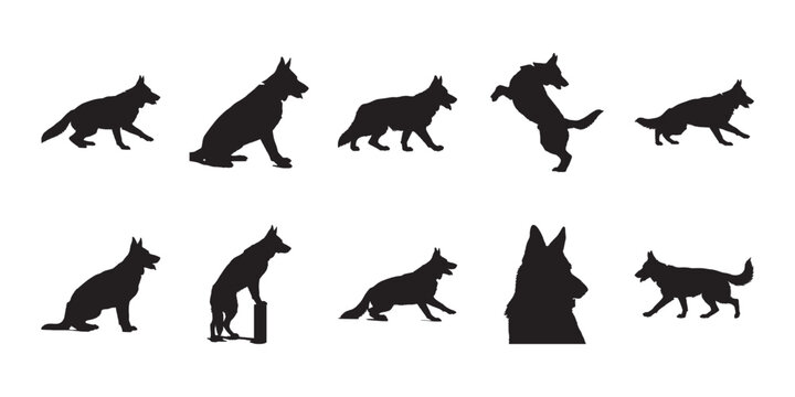German shepherd dog silhouettes set. Collection of active canine poses including sitting and standing for pet branding and graphic design.