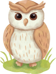 Obraz premium Cute Owl Watercolor Clipart, Woodland Animal Illustration