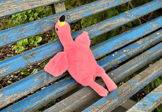 bench in the park