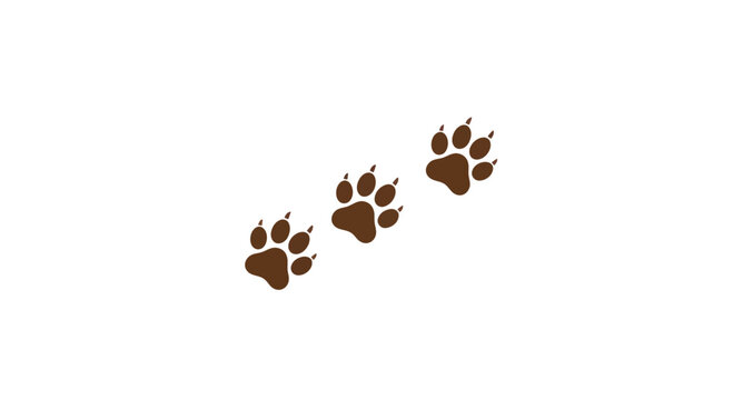 Animal Paw Prints Trail Isolated on White Background, Wildlife Tracking Concept