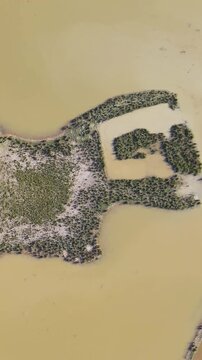 Lowland island surrounded by murky water in haor region of Sunamganj, Bangladesh - top down shot.