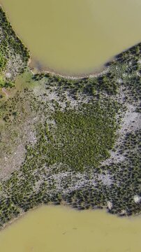 Small island surrounded by murky water in haor region in Bangladesh - top down shot.