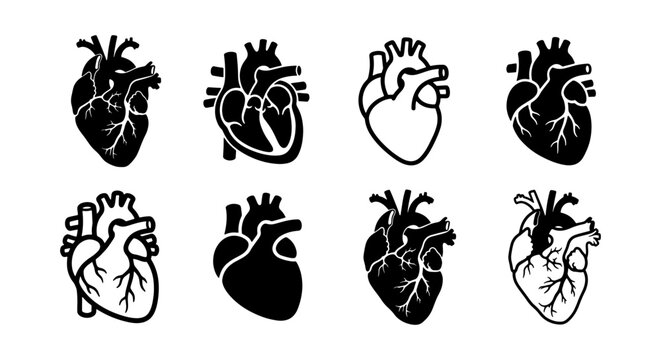 Anatomical human heart icons set, 8 black and white medical vector illustrations, realistic cardiac organ symbols for healthcare and cardiology