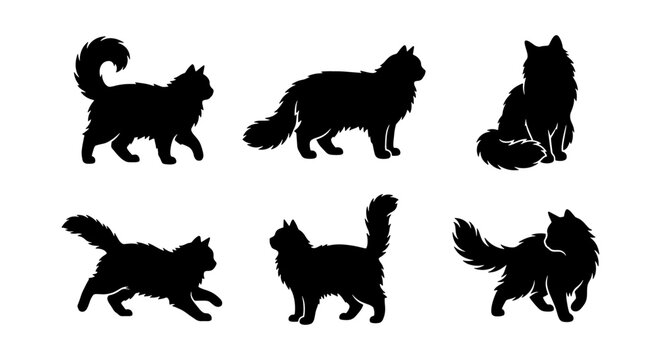 Fluffy cat silhouettes set, longhair feline vector icons in various poses, black domestic cat profile collection, 6 pet animal elements for logo design