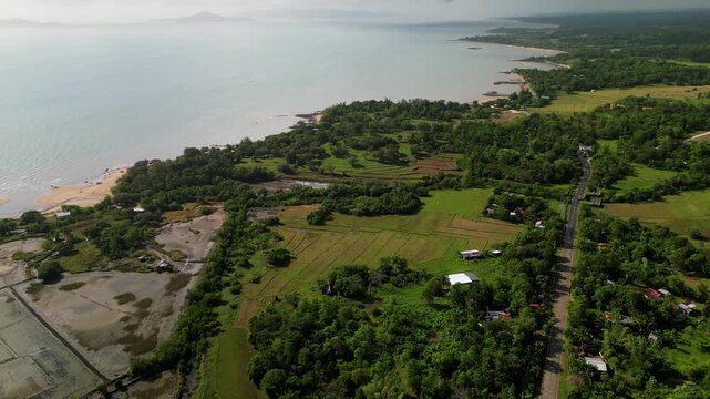 Aerial of lush green fields stretch towards the coastline on Guimaras Island, offering a tranquil view. Suitable for travel content and environmental documentaries.