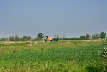 Fototapeta premium attività agricola nella campagna