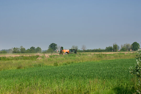 attivit&agrave; agricola nella campagna