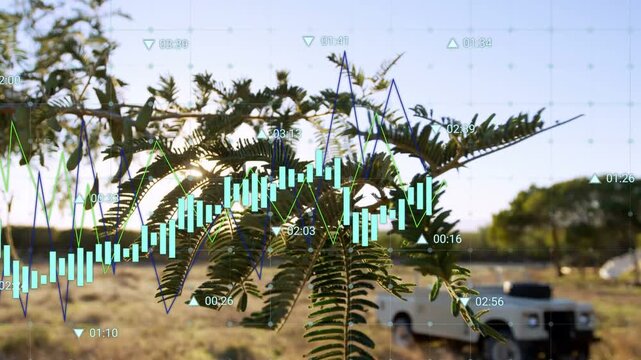 Leafy branch swaying in field, timecode running, graphs moving over branch showing farm data