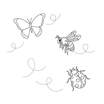 Vintage insect illustrations butterflies bees and a dragonfly