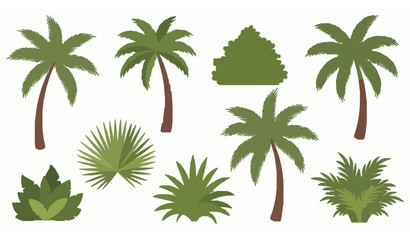 Naklejka premium Tropical palm trees and jungle plants flat vector set exotic green flora collection for design isolated on white