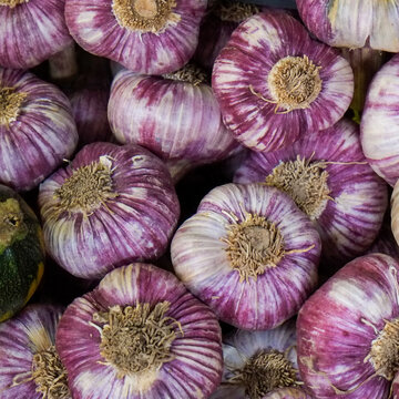 Fresh purple garlic bulbs close up at market