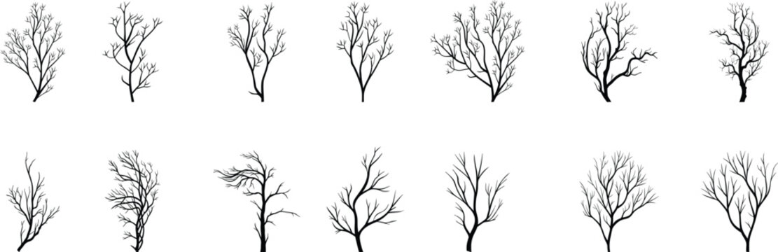 Collection of bare tree silhouettes with detailed branches isolated on white background, set of winter forest elements for landscape design, illustration, decoration, and nature themed artwork
