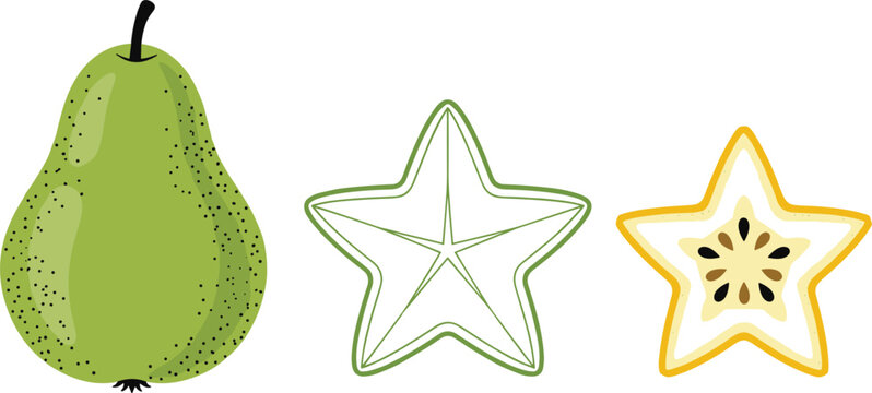 Pear and starfruit vector illustration set with whole pear and carambola slices outline and colored tropical fruit isolated design collection