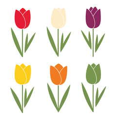 Fototapeta premium Colorful Tulip Flowers in a Vibrant Garden Scene for Spring and Nature Themes