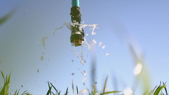 Low angle close-up tilts from green grass to bubble irrigation nozzle