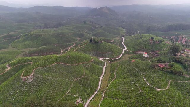Drone shot capturing lush tea estates in Valparai with multiple curving roads, terraced greenery, and scattered structures across scenic hills.